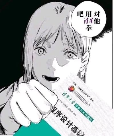 这是一张二次创作的梗图，改编自漫画《电锯人》的角色玛奇玛的画面。图中玛奇玛眼神戏谑、表情兴奋，握拳做出向前出击的动作，手中拿着一本清华大学出版社的《程序设计基础》教材，旁边的对白气泡写着“对他用清拳”，玩了谐音梗，将“重拳”替换为带有清华谐音的“清拳”，调侃用专业的编程教材如同“重拳出击”一般，多用于编程爱好者、学生群体玩梗，表达用硬核知识“碾压”的戏谑感。