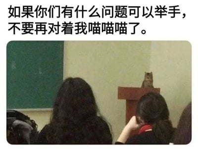 图片上方有一行文字：'如果你们有什么问题可以举手，不要再对着我喵喵喵了。' 下方是一张课堂场景的照片，左侧有一块绿色黑板，中间讲台上坐着一只猫，前景有几位学生背对着镜头，似乎在听课。图片通过将猫置于讲台的场景，配合拟人化的文字，营造出猫像老师一样无奈地应对学生'喵喵叫'提问的幽默效果。