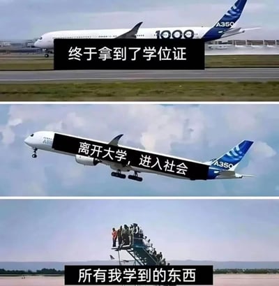 这是一张三格拼接的梗图，通过飞机的不同状态来幽默表现大学毕业到进入社会的过程。

第一格：跑道上的飞机，配文“终于拿到了学位证”，象征毕业的起点。
第二格：起飞的飞机，配文“离开大学，进入社会”，表现从校园到社会的转变。
第三格：人们扒在飞机起落架上，配文“所有我学到的东西”，用夸张方式暗示大学所学在社会中难以应用的无奈。