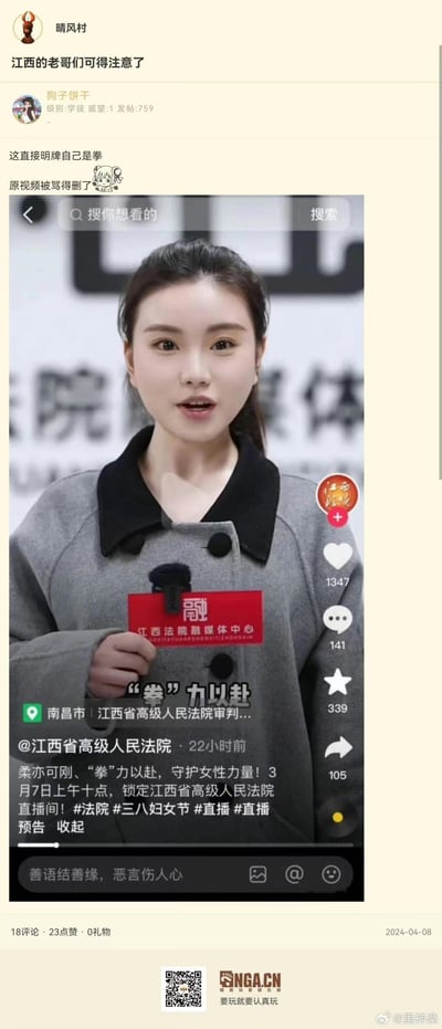 这是NGA论坛晴风村板块的帖子截图，用户「狗子饼干」吐槽江西省高级人民法院发布的三八妇女节宣传视频：视频使用“‘拳’力以赴”的谐音文案，被网友解读为暗指“拳师”（网络对极端女权群体的称呼），调侃其“直接明牌自己是拳”，原视频因遭到大量批评已被删除。
谐音梗说明：“拳”力以赴谐音“全力以赴”，被网友关联网络热词“拳师”，引发争议。