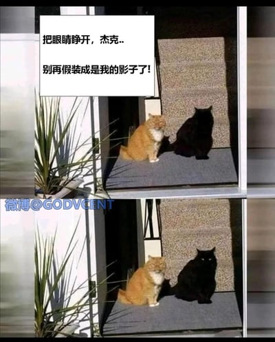 这是一张上下拼接的趣味萌宠梗图，上图中一只橘猫与一只闭着眼睛的黑猫并排坐在室外台阶上，黑猫的深色毛发与慵懒姿态使其看起来酷似橘猫的影子，配文以橘猫的视角调侃道“把眼睛睁开，杰克..别再假装成是我的影子了!”；下图中黑猫睁开了眼睛，瞬间打破了“影子”的视觉错觉，通过这种前后反差制造出强烈的幽默效果，将萌宠的日常瞬间赋予了趣味化的剧情感，十分生动搞笑。