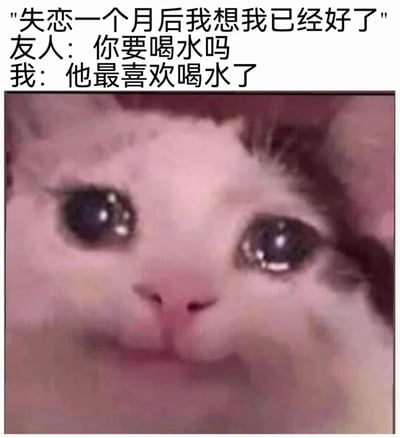 图片上方为文字内容：“失恋一个月后我想我已经好了 友人：你要喝水吗 我：他最喜欢喝水了”，下方是一张猫咪的面部特写。猫咪有着大大的、水汪汪的眼睛，眼神中透露出明显的悲伤和委屈，仿佛在无声地诉说着失恋后看似痊愈实则未愈的真实情绪。当友人一句无心的“喝水”，瞬间勾起对前任的回忆，展现了分手后不经意间“破防”的真实场景。