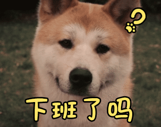 柴犬灵魂拷问：下班了吗