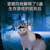 困惑猫