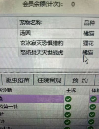 这是一张翻拍的宠物医院业务系统屏幕静态截图，顶部展示会员计次余额为0，上方表格为宠物信息栏，其中两个宠物的名字十分夸张中二，分别是“玄冰寂灭恐惧猎豹”（对应品种狸花）、“怒焰焚天灭世战虎”（对应品种橘猫），和一旁普通的宠物名“汤圆”形成强烈的反差感，鼠标指针正指向“怒焰焚天灭世战虎”对应的橘猫品种栏，下方是宠物相关服务项目列表，包含驱虫疫苗、住院留观、预约等分类，多个已完成的项目旁标注有绿色对勾标识。