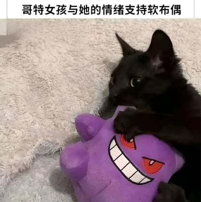 一只黑色的猫正抱着一个紫色的耿鬼毛绒玩具，猫咪专注地看着前方，而耿鬼则露出标志性的邪恶笑容。图片上方配有文字“哥特女孩与她的情绪支持软布偶”，幽默地将黑猫比喻为哥特风格的女孩，而耿鬼毛绒玩具则成为她的情绪支持伙伴。这种拟人化的描述创造了一种可爱又有趣的对比效果。