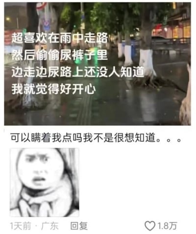 这张图是一段带有调侃性质的生活碎片文案+评论截图。上半部分是一段白色大字，描述了“喜欢在雨中走路，然后悄悄在尿棒子里边走边尿，还没人知道，觉得特别开心”的行为，内容中充满“坏小孩的快乐”，有点“做坏事不被发现就特别爽”的双关。下半部分是一条评论，表示“可以瞄着我点吗我不是很想知道。。。”，带有明显的反向求关注和自黑幽默，是网络常见的自嘲用法。

整体风格幽默带点无厘头，也有点羞耻+共鸣感，适合发给懂得网络梗的朋友调侃。存在双关与暗示：文案从行为描述转变为引发大家对“在雨中可做坏事未被发现”的讨论，带有一点“恶作剧”味道。