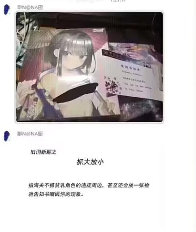 这是一张出自二次元爱好者聊天群的梗图，分为上下两个部分：
1. 上半部分是实拍图，展示了印有贫乳二次元女性角色的违规周边商品，旁边放置着一张海关出具的检验告知书；
2. 下半部分是“旧词新解”板块，重新解读了成语“抓大放小”，定义为：海关不查扣贫乳角色的违规周边，甚至还会放一张检验告知书“嘲讽”收件人的现象。

这个梗玩了“抓大放小”的字面梗，调侃海关对不同类型违规二次元周边的“区别对待”，属于二次元圈子里的搞笑玩梗内容。