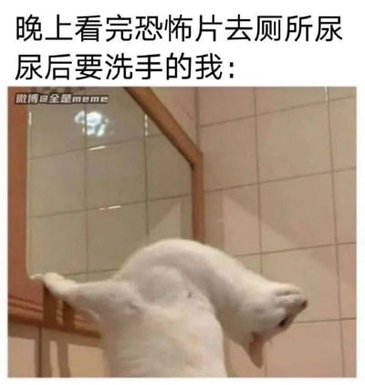 这张梗图通过文字和图片的结合，幽默地表现了晚上看完恐怖片后去洗手间的紧张状态。图片上方配有文字"晚上看完恐怖片去厕所尿尿后要洗手的我："，下方是一只白猫后腿站立、前爪搭在洗手台上的照片，仿佛在小心翼翼地洗手。猫的姿势和场景完美诠释了看完恐怖片后那种既害怕又不得不完成日常动作的矛盾心理，用可爱的动物形象缓解了恐怖电影带来的紧张感，产生了幽默效果。