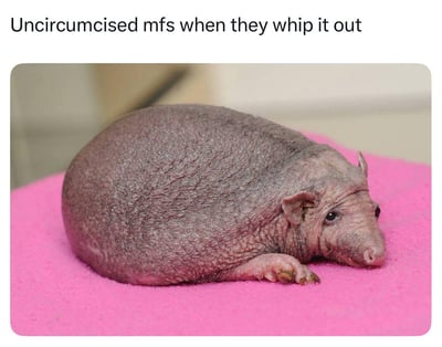 这是一张欧美低俗搞笑梗图，上方配有英文文字“Uncircumcised mfs when they whip it out”，意为“未割包皮的家伙们掏出它的时候”；下方是一只因先天或疾病原因无毛的犰狳，它皮肤皱缩、身体蜷缩地趴在粉色垫子上，外观被用来低俗调侃未割包皮的男性生殖器官的样子。
这是一个低俗的形象隐喻梗，用无毛犰狳的皱缩外观暗喻相关男性生殖器官，属于欧美圈的恶搞玩笑。