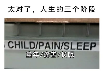 这是一张带有黑色幽默风格的网络梗图，整体为横版静态图文混排形式。图片上方配有醒目的黑色文字“太对了，人生的三个阶段”，引出核心内容；中间是截取的日常场景里的英文标识“CHILD/PAIN/SLEEP”；下方则是对应的中文翻译“童年/痛苦/长眠”。该梗图将这三个英文单词对应解读为从出生到死亡的完整人生历程，以一种略带消极、戏谑的黑色幽默方式调侃人生，传递出对人生的悲观式感慨，容易引发网友的情感共鸣，常用于社交平台抒发对生活的感悟。