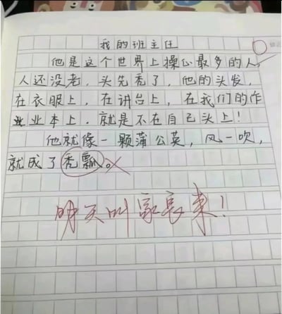 这是一张竖版的小学生手写作文纸照片，作文以《我的班主任》为题，学生用生动又夸张的幽默语言，吐槽班主任因操心太多而严重脱发：称班主任是“世界上操心最多的人”，人还没老头发就掉得到处都是，唯独不在自己头上，还将班主任比作蒲公英，风一吹就成了“秃瓢”。作文里的“秃瓢”被老师用红笔圈出并打叉，最后老师用醒目的红笔在作文下方写下“明天叫家长来！”的批语，整个内容充满了校园生活的趣味反差，既展现了孩子的童言无忌，也体现出老师被调侃后的无奈与生气。
