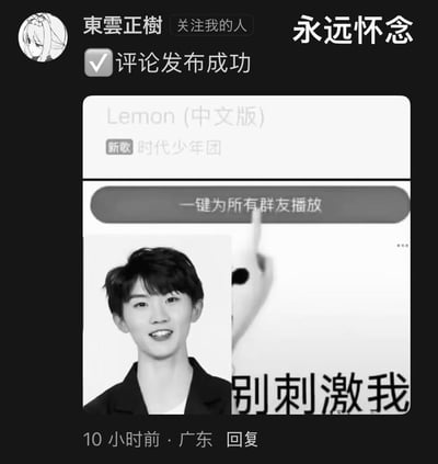 这是一张社交平台评论区的用户发布内容截图，发布者账号为“東雲正樹”，显示评论发布成功。评论内容是一张二次创作的拼贴图：上方是时代少年团新歌《Lemon（中文版）》的“一键为所有群友播放”功能按钮，下方拼接了成员马嘉祺的黑白微笑照片，配文“别刺激我”，整体采用黑白视觉风格，用玩梗的方式表达对这个一键播放功能的抗拒与无奈，像是在吐槽不想被强制播放该歌曲的刺激。截图右上角还有“永远怀念”的文字，增添了玩梗的戏谑感。