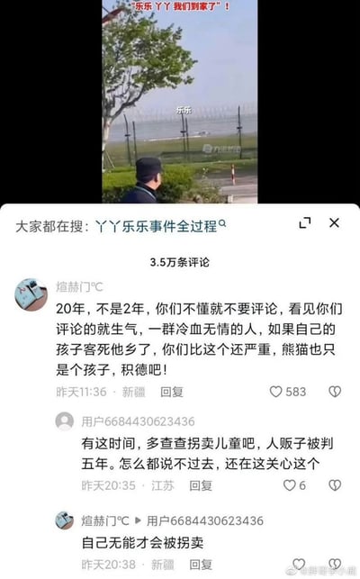 图片上半部分为户外场景照片，一位戴黑色帽子的老人背对镜头站立，背景有树木和远处的围栏，上方有红色文字“乐乐丫丫我们到家了！”，中间标注“乐乐”。下半部分是社交媒体评论区截图，标题显示“大家都在搜：丫丫乐乐事件全过程”，下方有3.5万条评论。展示了用户“煊赫门℃”的评论，强调熊猫在海外20年的经历，指责部分网友冷血；另一用户则建议关注拐卖儿童问题，双方在评论区形成观点对立。