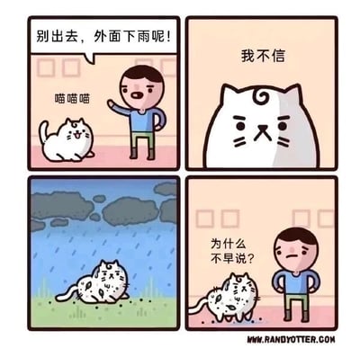 这是一幅四格连环卡通漫画，以趣味日常小故事制造笑点：第一格中，一位穿着蓝色上衣、绿色裤子的人类男性，对着一只兴奋叫着“喵喵喵”的白色猫咪摆手劝阻，同时说道“别出去，外面下雨呢！”；第二格是白色猫咪的特写，它皱着眉头，表情满是不屑，配文“我不信”，表现出对劝阻的质疑；第三格画面转到室外，天空乌云密布正下着雨，这只白色猫咪跑到了外面，被雨淋得浑身沾满泥点，模样狼狈；第四格中，浑身脏污的猫咪回到室内，人类男性皱着眉、双手叉腰，无奈地说道“为什么不早说？”，猫咪则是一脸委屈又懊恼的神情，通过猫咪不听劝最终自食苦果的情节，呈现出反差感十足的幽默效果。