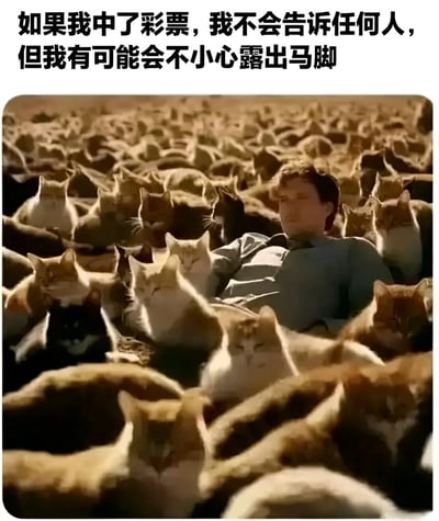 图片上方有文字“如果我中了彩票，我不会告诉任何人，但我有可能会不小心露出马脚”，下方是一个男人躺在大量猫中间的场景。通过夸张的画面表现出中奖后虽然想保密但难以掩饰的状态，形成幽默效果。