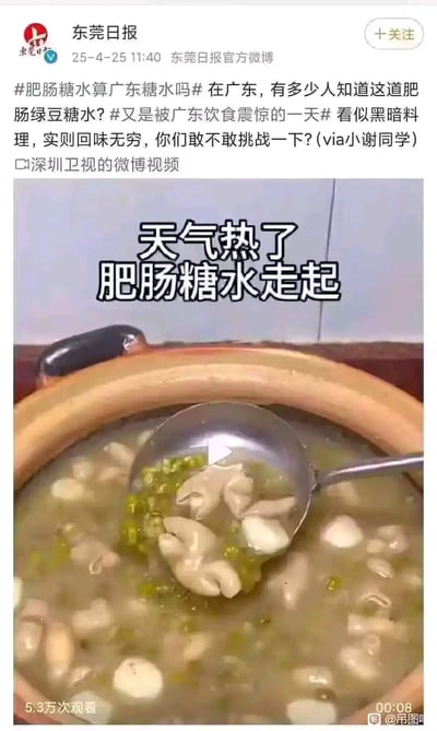 该图片为东莞日报官方微博截图，发布于2025年4月25日11:40，内容围绕广东特色糖水“肥肠绿豆糖水”展开讨论。微博正文使用#肥肠糖水算广东糖水吗#和#又是被广东饮食震惊的一天#等话题标签，称这道糖水看似黑暗料理，实则回味无穷，并邀请网友挑战。配图为视频截图，展示了一个陶制瓦罐中盛有的糖水，内含肥肠、绿豆等食材，汤勺舀起部分糖水，上方叠加文字“天气热了 肥肠糖水走起”。