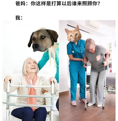 这是一张左右对比的图文混排梗图，上方文字为“爸妈：你这样是打算以后谁来照顾你？”和“我：”。左侧图片中，一位使用助行器的 elderly 女性由一位头部被替换成狗脸的人搀扶；右侧图片中，一位使用双拐的 elderly 男性由一位头部被替换成猫脸的护士协助。通过将护理者头部替换为猫狗脸，幽默地回应了父母对养老问题的担忧，暗示“由猫狗（或像猫狗一样忠诚的存在）来照顾”的轻松调侃。