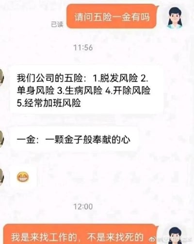 这是一段求职者与招聘方的趣味聊天记录截图，求职者向对方询问公司是否提供五险一金，招聘方却玩起概念替换的梗，将原本的社保福利“五险”替换成职场人常面临的五种生存风险：脱发风险、单身风险、生病风险、开除风险、经常加班风险，把“一金”曲解为“一颗金子般奉献的心”，用夸张的方式讽刺了当下部分职场存在的加班多、压力大、缺乏保障的不良现状。求职者最后崩溃回复“我是来找工作的，不是来找死的”，精准戳中职场人的痛点，引发共鸣。