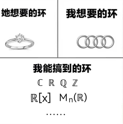 这张梗图分为三个板块，用“环”的双关制造搞笑的期望与现实落差：
1. 左上板块“她想要的环”：展示一枚带钻的求婚钻戒，代表伴侣期望的浪漫信物；
2. 右上板块“我想要的环”：展示奥迪汽车的四环车标，代表男生期望的豪车标志；
3. 下方板块“我能搞到的环”：列出抽象代数领域中的各类“环”结构符号，包括复数环ℂ、实数环ℝ、有理数环ℚ、整数环ℤ、实系数多项式环ℝ[x]、n阶实矩阵环Mₙ(ℝ)。

图中玩了“环”的双关梗：将生活中具象的实物“环”（钻戒、车标）与抽象代数中的代数结构“环”进行对比，调侃理工科群体（尤其是数学相关专业）只能接触到学术领域的“环”，无力承担昂贵的实物环，用专业知识自嘲，精准戳中理工科爱好者的笑点。