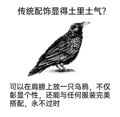 这是一张幽默梗图，上方配有文字“传统配饰显得土里土气？”，中间是一只黑白手绘风格的乌鸦插图，下方文字则给出荒诞建议：“可以在肩膀上放一只乌鸦，不仅彰显个性，还能与任何服装完美搭配，永不过时”。图片通过将现实中不可能作为配饰的乌鸦与时尚建议结合，创造出一种反差萌的幽默感，讽刺了某些追求时尚的荒谬逻辑。