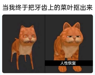 这是一张采用左右对比形式的3D渲染搞笑梗图，通过两只形态反差极大的橘猫来具象化人们的心理变化。左侧的橘猫肢体严重扭曲变形、眼神涣散呆滞，面部神态怪异，精准还原了人们意外发现自己牙齿上沾有菜叶时，陷入社死、窘迫到仿佛‘失魂落魄’的状态；右侧的橘猫形态恢复正常，神态从容平静，搭配右下角的配文‘人性恢复’，再结合顶部的文字‘当我终于把牙齿上的菜叶抠出来’，夸张且生动地展现了人们成功清理掉牙齿上的异物后，从尴尬社死中解脱、回归正常状态的心理转变，非常贴合日常生活中常见的社交窘迫瞬间，极易引发大众的情感共鸣。