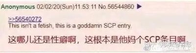 这是一张国外匿名论坛的评论截图，图中是用户针对编号为56540272的评论的回复，英文内容为“This isn't a fetish, this is a goddamn SCP entry.”，下方配有直白的中文翻译“这哪儿还是性癖啊，这根本是他妈的SCP条目啊”，通过将某内容与SCP基金会的异常档案类比，强烈吐槽该内容的诡异、离谱程度，语言风格粗俗直接，充满吐槽情绪。