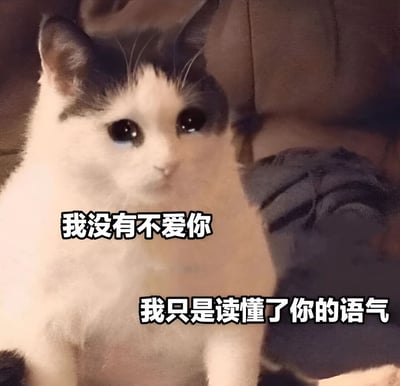 一张猫咪表情包，画面中是一只黑白相间的猫咪，它有着大大的圆眼睛，表情看起来无辜又略带委屈。猫咪坐在沙发上，背景模糊。图片上叠加了两行文字：“我没有不爱你”和“我只是读懂了你的语气”，通过猫咪的表情和文字内容，形成一种幽默又略带心酸的效果，常用来表达在人际关系中因语气误解而产生的无奈情绪。