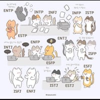 MBTI缩略图