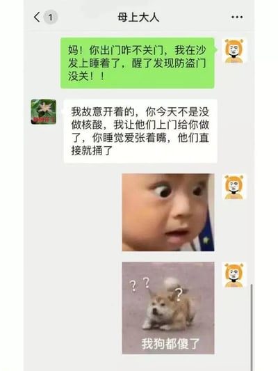 这张图片是一个微信聊天对话截图，内容是子女吐槽母亲出门没有锁门，母亲却解释说故意开着门让做核酸的人进来帮子女检测。对话的结尾配了一张“我狗都傻了”的柴犬表情包，表现出震惊与无语的情感。

整个场景以疫情期间核酸检测的社会背景为基础，通过恶搞和出其不意的家长逻辑制造出幽默效果，没有政治、低俗等敏感元素。不含谐音梗，但有反转，利用防疫热点话题形成共鸣与笑点。