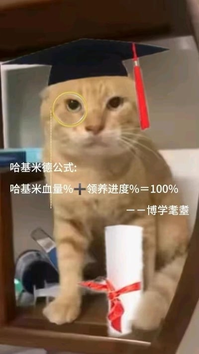 这是一张经过P图创作的搞笑网络梗图，主体是一只神态严肃的橘猫，被网友P上了黑色学士帽与绑着红丝带的毕业证书，化身成“博学耄耋”的学霸猫形象。图中设计了玩谐音梗的“哈基米德公式”：哈基米血量%+领养进度%=100%，这里的“哈基米”是网络上对可爱小猫的亲昵称呼，谐音著名数学家“阿基米德”，用一本正经的公式形式调侃猫咪领养的相关情况，传递出“小猫越可爱（哈基米血量越高），可能越难被领养（领养进度越低）”的趣味调侃，整体风格幽默搞怪，充满网感。