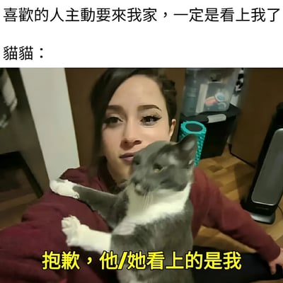 图片上方文字写着“喜欢的人主动要来我家，一定是看上我了”，表达了主人公对暗恋对象来访的美好期待。中间是一位穿着酒红色上衣的人抱着一只灰白相间的猫自拍的照片，猫的表情淡定自然。图片底部黄色文字以“猫猫：”为开头，写着“抱歉，他/她看上的是我”，通过猫咪的视角制造反差萌，幽默地暗示暗恋对象来访的真正原因可能是被猫咪吸引，而非主人公本人，形成了一种搞笑的误会场景。