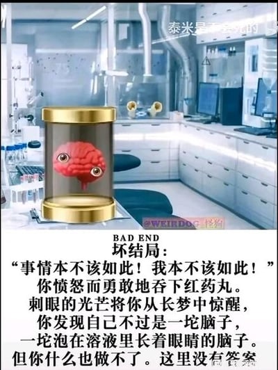 这是一张图文混排的顶配底文静态图，上半部分是3D渲染的实验室场景，室内摆放着实验台、电脑、各类实验器材，整体环境整洁且充满科技感，视觉中心是一个带有金色上下封盖的玻璃罐，罐内的红色大脑泡在溶液中，大脑上还长着一双带有惊讶、茫然又夹杂愤怒情绪的眼睛；下半部分是白色背景的文字区域，标注有“BAD END 坏结局：”，随后是一段剧情文字：“‘事情本不该如此！我本不该如此！’你愤怒而勇敢地吞下红药丸。刺眼的光芒将你从长梦中惊醒，你发现自己不过是一坨脑子，一坨泡在溶液里长着眼睛的脑子。但你什么也做不了。这里没有答案”。图片顶部还有小字“泰米是不会死的”，右下角带有“@WEIRDOG 怪狗”的水印。该内容是对类似《黑客帝国》红药丸剧情的二次创作，营造出荒诞、绝望的坏结局氛围。