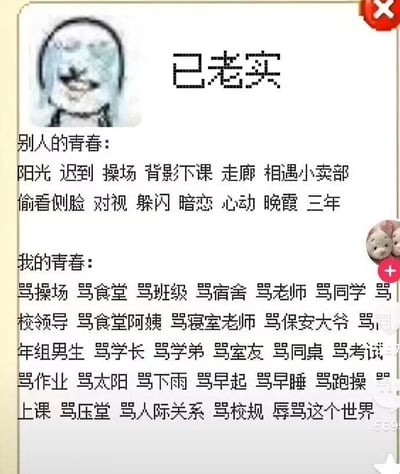 图片为一张青春对比主题的搞笑 meme，上方有一个模糊的笑脸表情包图标，旁边配有像素风格文字'已老实'。下方分为两部分：'别人的青春'列出阳光、操场、暗恋、晚霞等文艺美好的校园元素；'我的青春'则以连续'骂XX'的排比句式，吐槽操场、食堂、老师、作业等校园生活中的各种不满，形成强烈反差，展现自嘲式幽默。