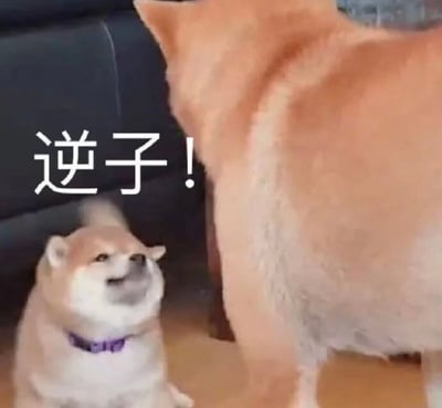 图片中展示了两只柴犬的有趣互动场景：一只体型较大的柴犬（疑似母犬）背对着镜头站立，而体型较小的柴犬幼犬则坐在地上，仰着头看向大狗，脸上带着几分调皮捣蛋的表情。图片左侧用醒目的白色文字标注着“逆子！”，将幼犬拟人化，幽默地表现出类似人类家长面对调皮孩子时的无奈与调侃，营造出轻松搞笑的氛围。