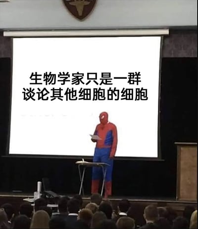这张图是经典的“蜘蛛侠做报告”梗图的中文二创版本，画面中一位身穿蜘蛛侠服装的人在讲台上做演讲，背后投影的PPT写着“生物学家只是一群谈论其他细胞的细胞”，用幽默的方式调侃生物学家本身也是由细胞构成，却在研究别的细胞。这张梗图有显著的自嘲和哲学色彩，也带有轻微的知识分子自黑成分。

其中“细胞的细胞”形成幽默的双关，用自反性的语言制造笑点。