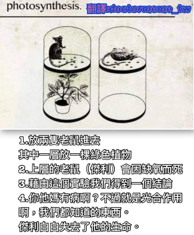图片上方有英文标题'photosynthesis'及蓝色翻译标注'翻譯:doctormeme_tw'。主体为两张并排的黑白插画玻璃罐：左侧玻璃罐上层有一只老鼠，下层有一盆绿色植物；右侧玻璃罐上层有一只死去的老鼠（呈深色团状），下层为空。下方配有中文文字描述一个虚构实验：1.放两只老鼠进去，其中一层放一棵绿色植物；2.上层的老鼠（杰利）会因缺氧而死；3.藉由这个实验我们得到一个结论；4.你他妈有病啊？不过就是光合作用啊，我们都知道的东西。杰利白白失去了他的生命。通过荒诞实验吐槽简单科学常识，带有幽默讽刺意味，其中'杰利'疑似影射《猫和老鼠》中的杰瑞鼠。