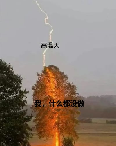 这是一张用于吐槽高温天气的网络梗图，画面主体是一棵被闪电击中后树干燃起火焰的树木，天空中还残留着闪电的轨迹。图中添加了两处文字：上方标注“高温天”，树木位置标注“我，什么都没做”。创作者用树木无辜被雷劈着火的夸张场景，类比人们在极端高温天气中，即便什么都不做也会感到燥热难耐、仿佛“无端遭殃”的无奈心情，通过幽默夸张的方式表达对高温天气的吐槽。