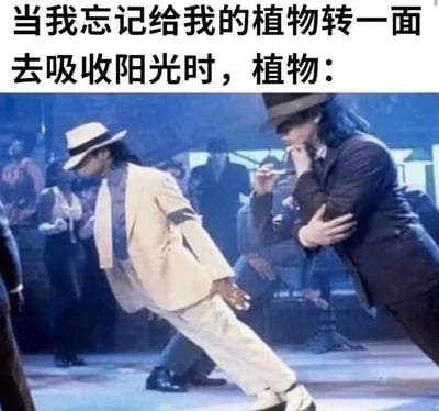 这是一张趣味梗图，上方配文「当我忘记给我的植物转一面去吸收阳光时，植物：」，下方是迈克尔·杰克逊在《Smooth Criminal》MV中的经典45度倾斜舞蹈动作截图。用这个极具标志性的夸张动作，调侃植物的趋光性——当忘记给植物转方向时，它们会拼命往有阳光的一侧倾斜生长，将植物的状态用人类的搞笑动作具象化，画面生动又充满趣味，没有双关或谐音梗。