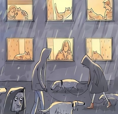 插画描绘了一个下雨的夜晚，几位穿着连帽雨衣的人牵着狗在街道上行走。他们经过一栋建筑，建筑的窗户透出温暖的黄色灯光，每个窗户里都有一只或多只猫咪在舒适地休息、玩耍或被人抚摸。遛狗的人们和他们的狗都抬头望向这些窗户，形成了一种雨中寒冷与室内温暖的鲜明对比，暗示了人们对猫咪舒适生活的羡慕之情。
