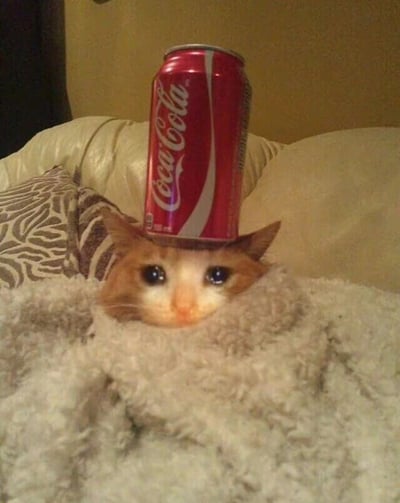 一只橘白相间的猫咪从米白色毛毯中探出头来，头顶上竟然稳稳地平衡着一罐红色的可口可乐。猫咪睁大圆溜溜的蓝色眼睛，表情中带着一丝惊讶和好奇，仿佛在展示自己的平衡绝技。背景是米黄色的墙壁和浅色沙发，整个画面充满了温馨又搞笑的氛围，展现了宠物与日常物品之间意外和谐又有趣的互动场景。