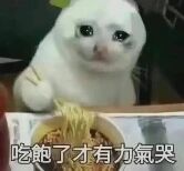 图片中是一只白色的猫咪，有着大大的眼睛，眼神透露出明显的委屈情绪。它正用爪子扒拉着碗里的面条，似乎在认真干饭。图片底部配有文字“吃饱了才有力气哭”，通过猫咪委屈的表情与接地气的文字结合，形成一种反差萌的幽默效果，暗示即使情绪低落也要先照顾好自己的身体。