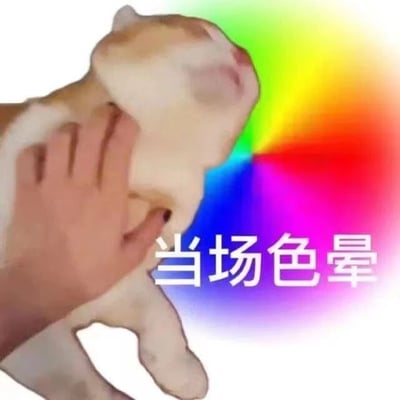 图片中一只橘猫被人手轻轻抚摸下巴，猫咪舒服地仰头闭眼，表情陶醉。背景是鲜艳的彩虹渐变色，底部配有文字“当场色晕”，结合猫咪的享受表情和彩虹色彩，形成幽默效果。其中“色晕”一词双关，既指被彩虹色彩环绕产生的视觉效果，也谐音表达猫咪因舒适而“陶醉晕眩”的状态。