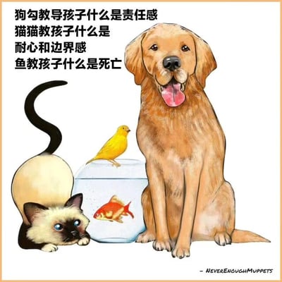 插画中展示了一只吐着舌头微笑的金毛犬、一只蓝眼睛的暹罗猫、一条在鱼缸中游动的金鱼，以及一只站在鱼缸边缘的黄色小鸟。左侧文字分别标注：‘狗勾教导孩子什么是责任感’‘猫猫教孩子什么是耐心和边界感’‘鱼教孩子什么是死亡’，通过动物形象幽默又温馨地诠释了不同的人生课题。画面风格为卡通插画，背景为纯白色，右下角有‘- NEVERENOUGHMUPPETS’的水印。
