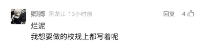 这是一张来自国内社交平台的用户评论截图，评论发布者是标注为来自黑龙江的用户“卿卿”，发布时间为13小时前，该评论获得了4个点赞，界面还设有回复按钮。评论内容分为两行，第一行是“烂泥”，第二行是“我想要做的校规上都写着呢”，发布者用“烂泥”自嘲，同时吐槽自己想做的事情都被校规所涵盖，透露出一种在校规约束下的无奈与自嘲情绪。发布者的头像是一个动漫人物，人物面部表情平淡，无明显动作。
