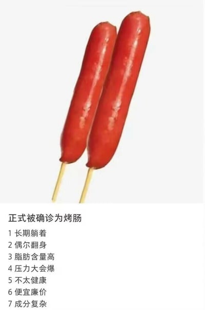 这是一张图文混排的静态趣味梗图，画面上方是两根串在签子上的油亮红色烤肠，下方配有文字“正式被确诊为烤肠”，并列出7条对应特征：长期躺着、偶尔翻身、脂肪含量高、压力大会爆、不太健康、便宜廉价、成分复杂。创作者将烤肠的特点与当代人的生活状态绑定，用自嘲的方式调侃自己躺平的生活、身材焦虑、压力大等状态，内容幽默接地气，容易引发共鸣。