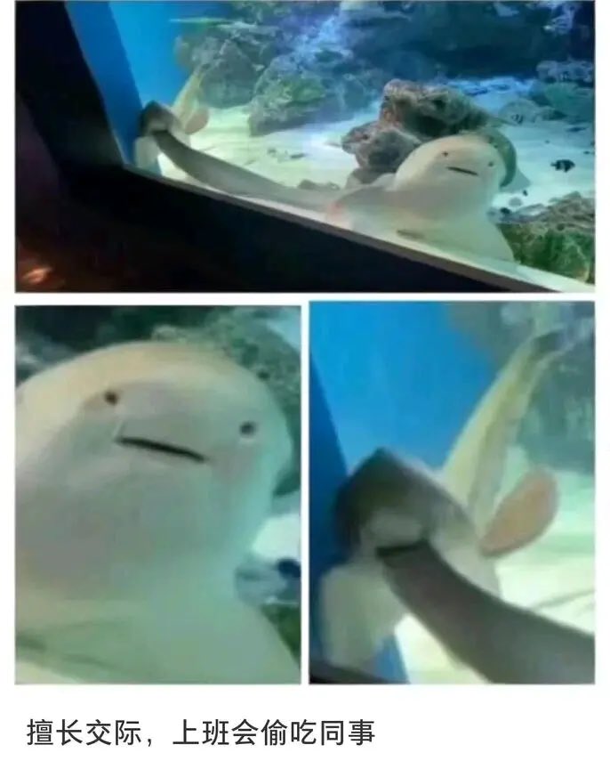 水族馆实拍