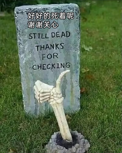 这是一张经过改编的趣味梗图，画面主体是放置在草地上的仿墓碑装饰牌，牌面刻有英文“STILL DEAD THANKS FOR CHECKING”，同时被添加了中文配文“好好的死着呢 谢谢关心”；墓碑前方的土坑中伸出一只骷髅手，做出竖大拇指的动作。整体用荒诞幽默的方式，以“死者”的视角回应他人的“关心”，既贴合万圣节装饰的搞怪风格，也被网友用来调侃过度关心的行为，或是表达自己想“躺平”、不想被打扰的情绪，充满恶搞趣味。