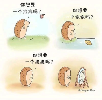 这是一幅四格漫画，每格中都有一只棕色刺猬站立着，上方配有文字“你想要一个抱抱吗？”。第一格刺猬面对一只蝴蝶，第二格面对一条小鱼，第三格独自站立，第四格则对着镜子里的自己。整体画面温馨治愈，通过刺猬向不同对象请求抱抱却未得到回应，最后只能对镜自怜的场景，传递出孤独与渴望陪伴的情感。