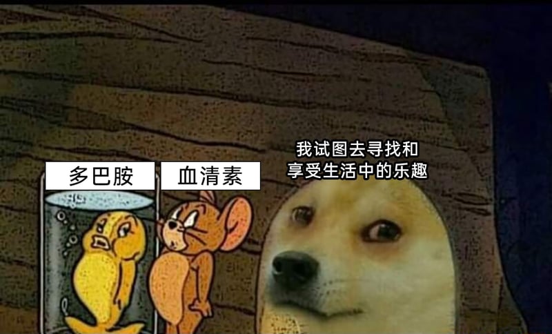 杰瑞